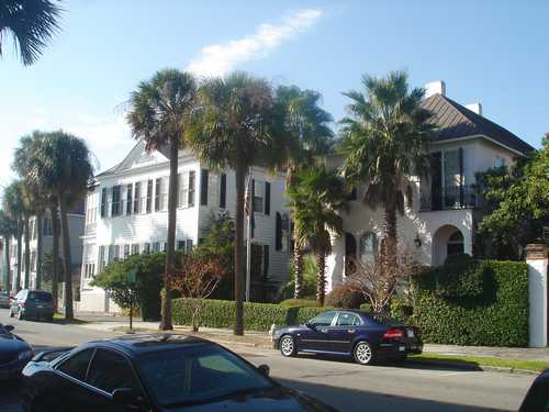 Charleston Homes surrounded by Palm Trees