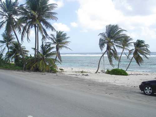 Palm trees flanking a beautiful Grand Cayman Beach